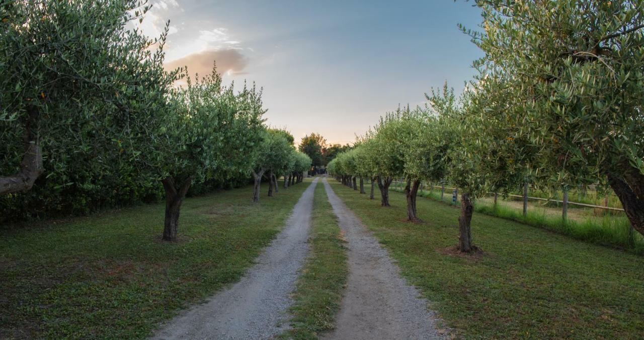 Bed and Breakfast Fuori Le Mura Paestum Exterior foto