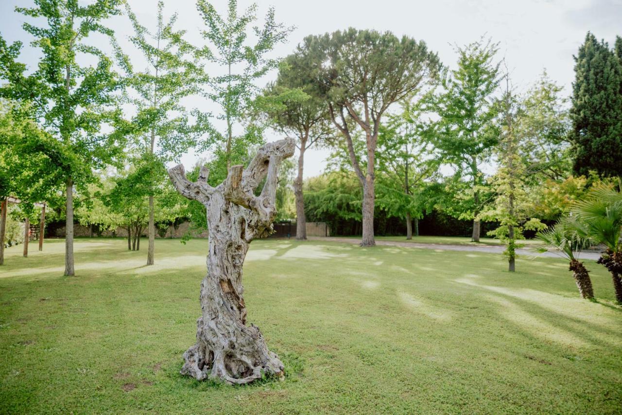 Bed and Breakfast Fuori Le Mura Paestum Exterior foto